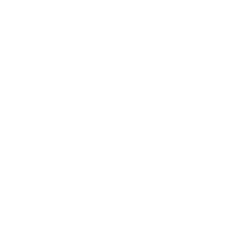 Logo FlyLens Media